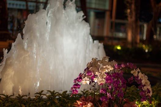 Lit water fountain at night with orchids in front of a luxury hotel