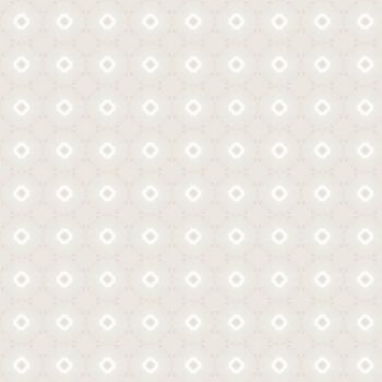 the beautiful patterned background for your design