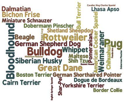 Dog breed themed word cloud on white background