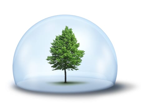 Green tree in glass cupola,  environmental concept