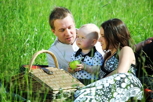  picnic of happy family on green grass