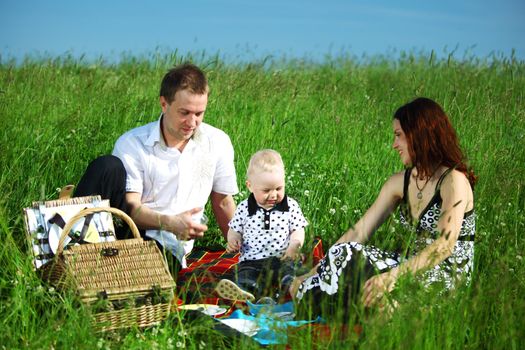  picnic of happy family on green grass