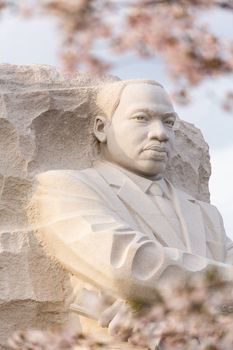 WASHINGTON DC - APRIL 8: The monument to Dr Martin Luther King in Washington DC surrounded by cherry blossoms on April 8, 2013. The memorial opened to the public on August 22, 2011.