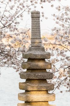 Stone monument by Tidal Basin and surrounded by pink Japanese Cherry blossoms in Washington DC in spring