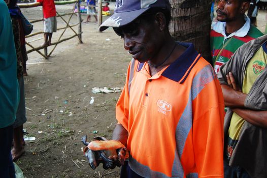 Man holds sea turtle, Papua New Guinea