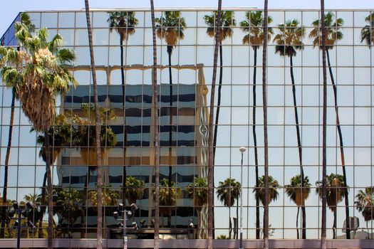 Skyscraper reflected in office windows of building and palm trees