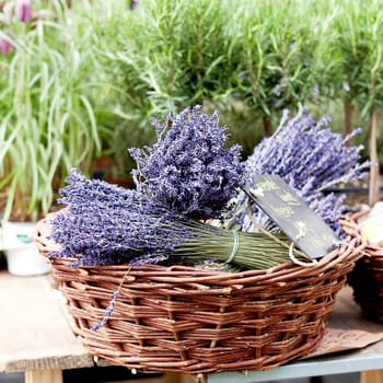 beautiful violet lavender bouquet in basket outdoor on market