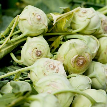 fresh green kohlrabi cabbage on market macro outdoor in summer