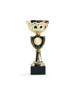 Gold trophy on white background. Clipping path is included