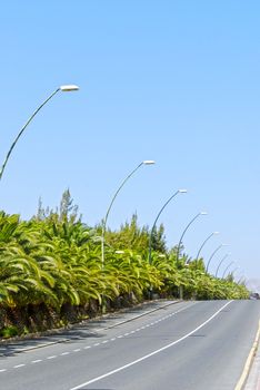 Asphalt road, palm trees and blue sky, Costa Calma, Fuerteventura, Spain