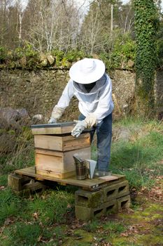 A man dressed in protective clothing lifts a lid off a bee hive with a smoker next to the hive.