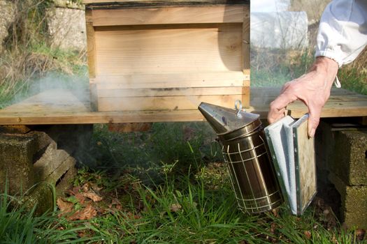 A metal bee smoker with bellows being squeezed by a hand in front of a wooden hive on a stand.