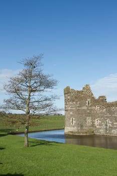 An historic castle ruin tower and moat with green grass and tree against a blue sky.