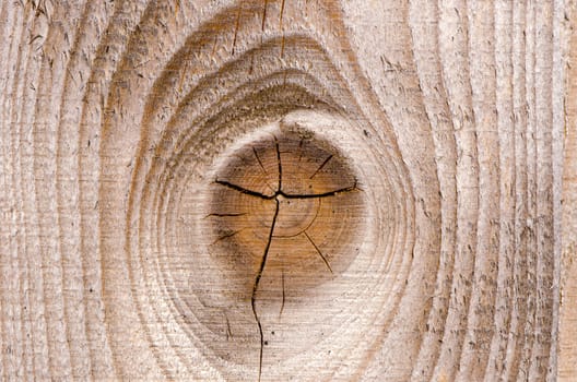 Background closeup of wooden plank board. farm building wall macro details.