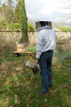 A man in protective clothing with smoker in hand looks  towards a hive on a stand.