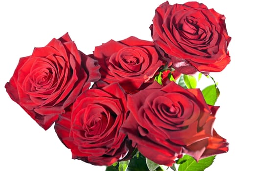 Beautiful bouquet of red roses isolated on white background.