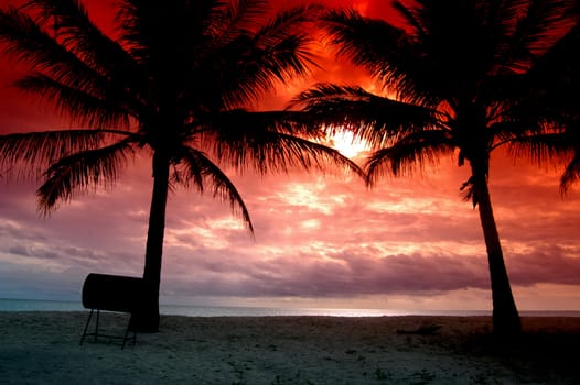 silhouettes of two coconut trees with red sky of sunset