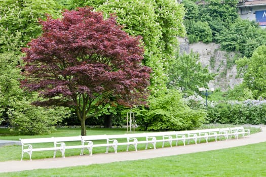park in Karlovy Vary (Carlsbad), Czech Republic