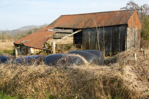 A ramshackle derelict metal sheet built barn with bales under overgrown plant material.