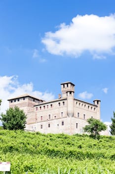 Grinzane Cavour Castle with vineyard, Piedmont, Italy