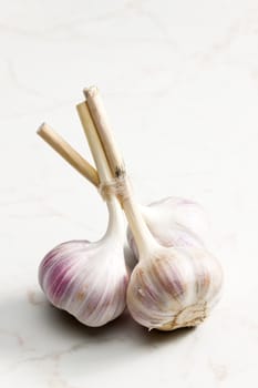 garlic