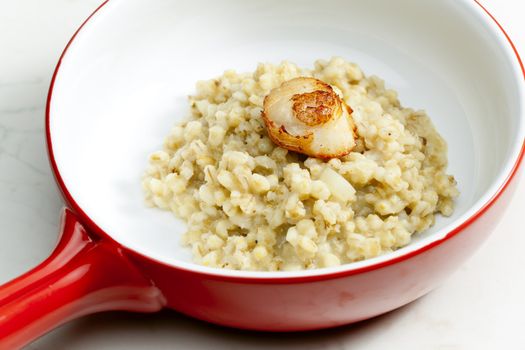 fried Saint Jacques mollusc with pearl barley risotto