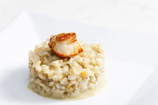 fried Saint Jacques mollusc with pearl barley risotto