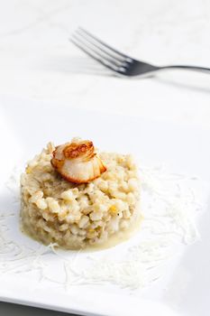 fried Saint Jacques mollusc with pearl barley risotto