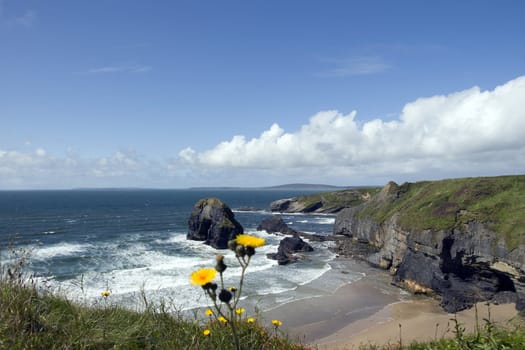 view of the virgin rock in ballybunion in summer with beautiful sea and wild flowers