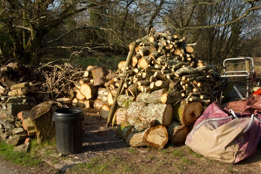 A stack of sawn oak in a neat pile with a bin and bag.