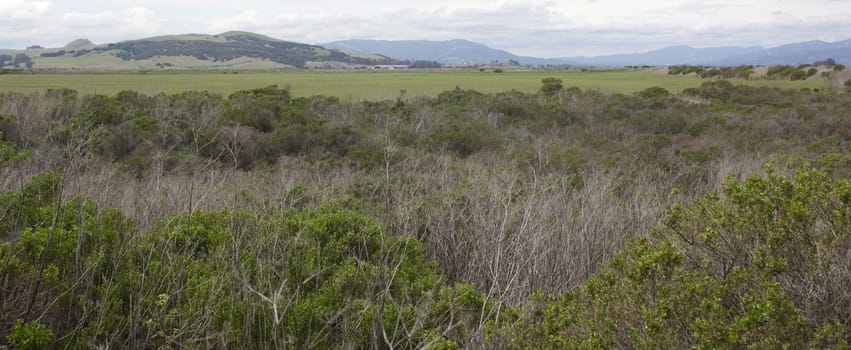 overcast with a nice green field and mountains