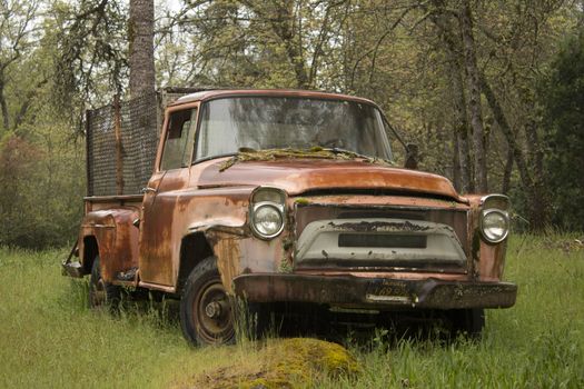 an old rusty truck in the forest during rain.