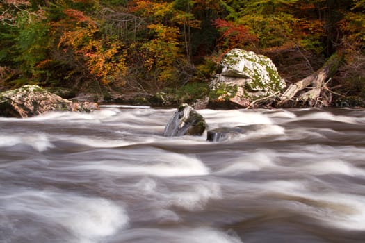 A fast flowing river with rocks banked by a woods with autumn coloured leaves.