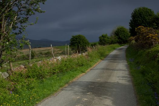 A country road on a dark day with a sunburst illuminating the road and hedges with flowers and plants.