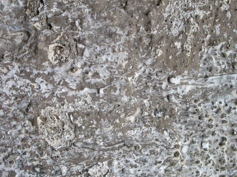 stone textured background - High resolution wall background.