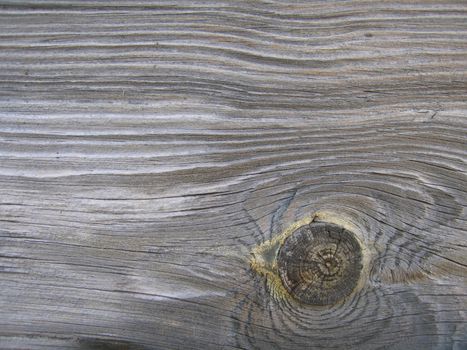 Nice textural wood panel - piece of wood