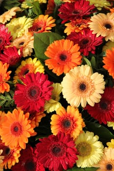 Gerbera flower arrangement in red, orange and yellow