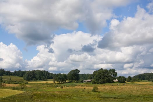 summer land sky horizon