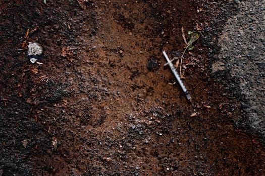 Discarded syringe on the side of the road