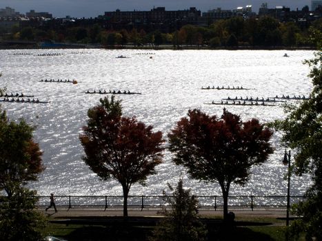 Rowers during the Head of the Charles Regatta