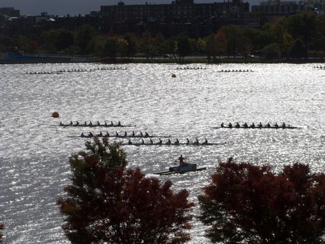 Rowers during the Head of the Charles Regatta