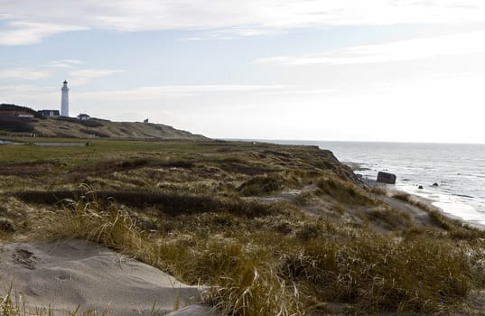 coastal scene with grass and sand at north denmark with lighthouse