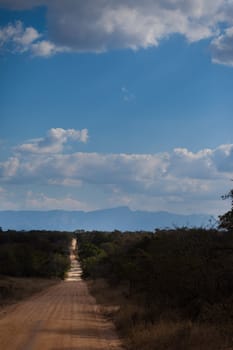 Straight savannah road going off into the distance