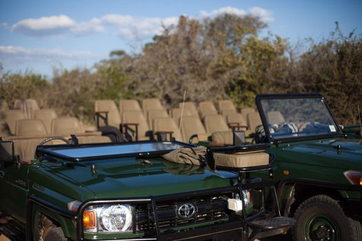 Open-topped safari vehicles ready for a game drive