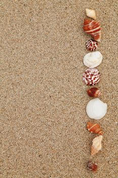 beautiful shells on very nice beach, focus in on the shells (shallow DOF)............