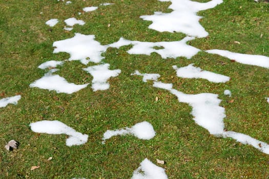 Picture of some grass covered by snow