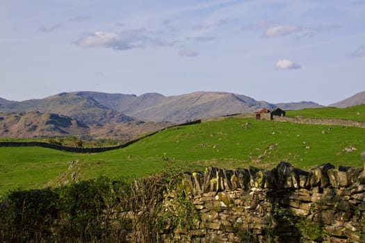 Hilly landscape with sheep pastures in Cumbria, northern England