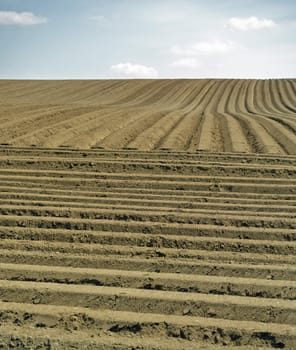 Farm field with furrows