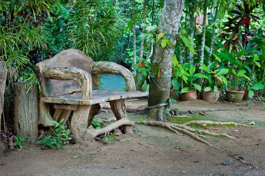 bench and lagoon in the forest