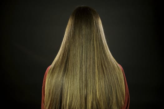 Horizontal gorgeous strait long brunette hair of a female model